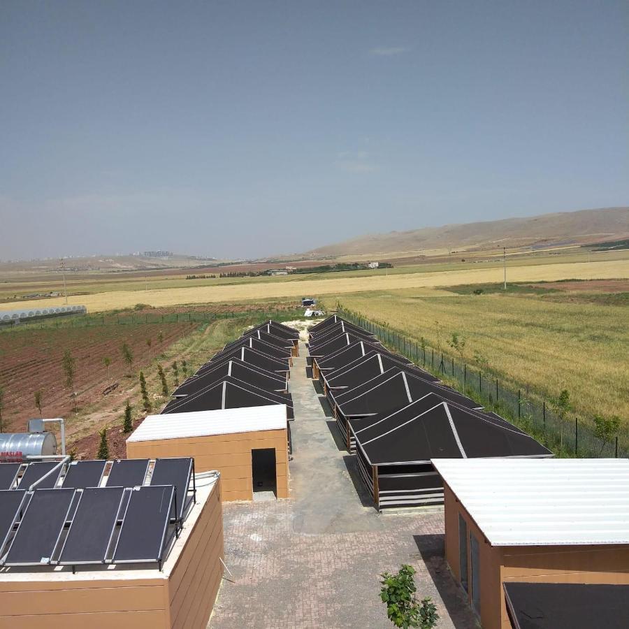 Gobeklitepe Cadir Saray Hotel Sanlıurfa Eksteriør billede